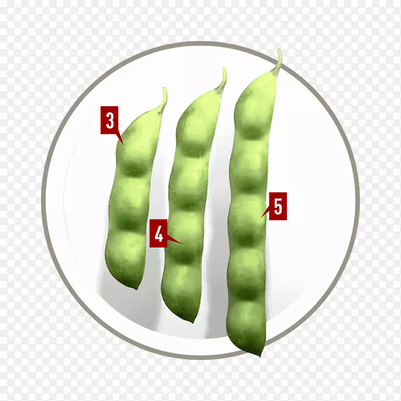 �߲���Ʒ-�߲�-������