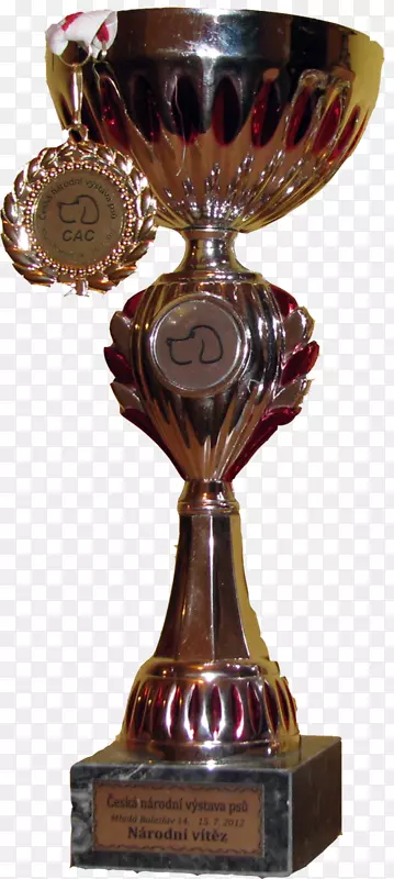 �ܿ�������Ȯ��ʦ����С���Ĵ�����С��-С��-������