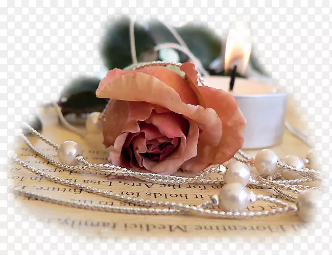 ���Ĳ���sz��let��snapodra-bijouterie-������