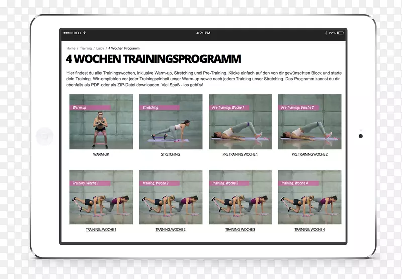 ��ý��Ʒ������-������