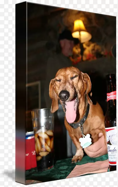 ������-ά��-��-������