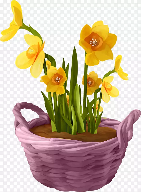 ����������Ĳ��ͼ�����-����-������