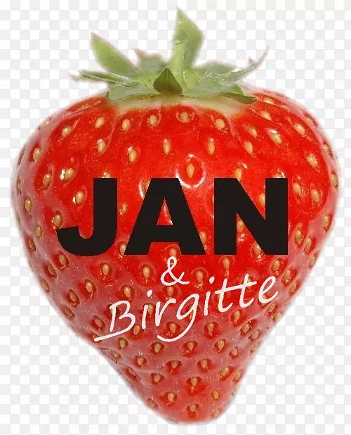 ��ݮ��ζB.V.ʳ���˷�����һ���ܺõ����ӡ�-��ݮ-������