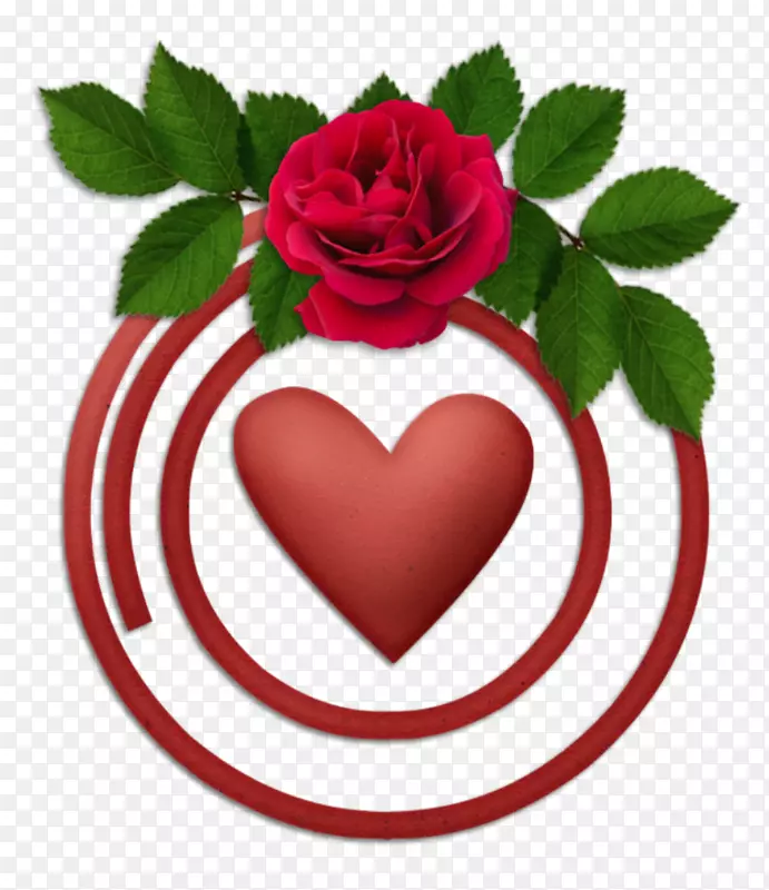 �����²���-��-������