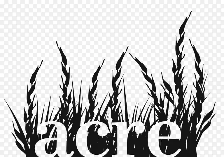 �����ֽͼ��-������