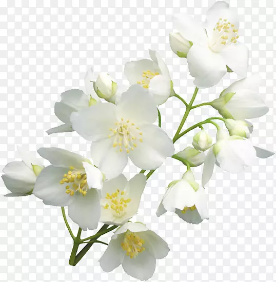 �л�����-������