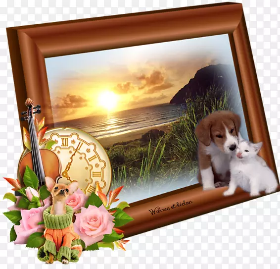 ����С������Ӱ������С����-������