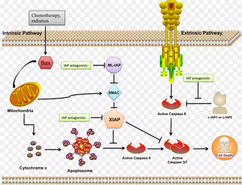 ��·��������-������