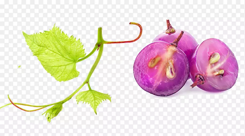 ��ͨ���ѹ�ʵɫ����������-������