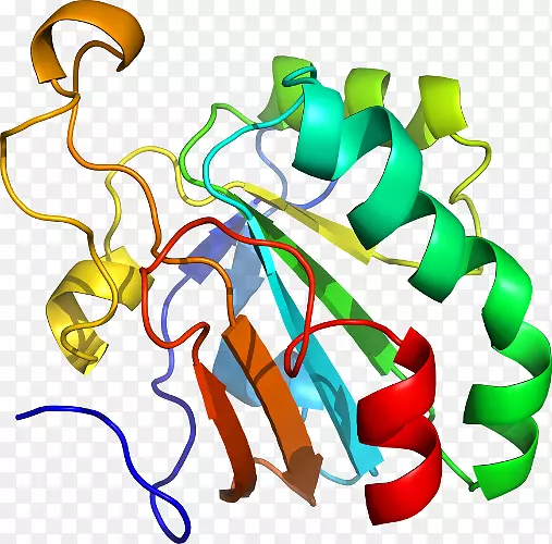 ƽ�������������-��-������