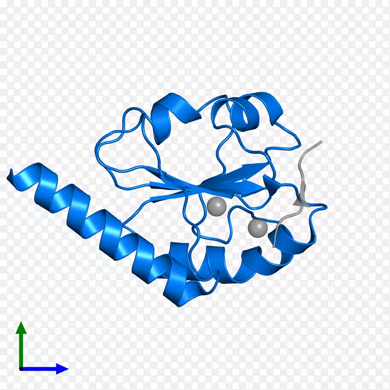 �߼�����-��-������