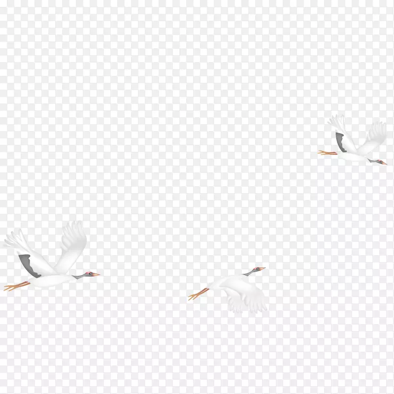 ��ש���͵���-������