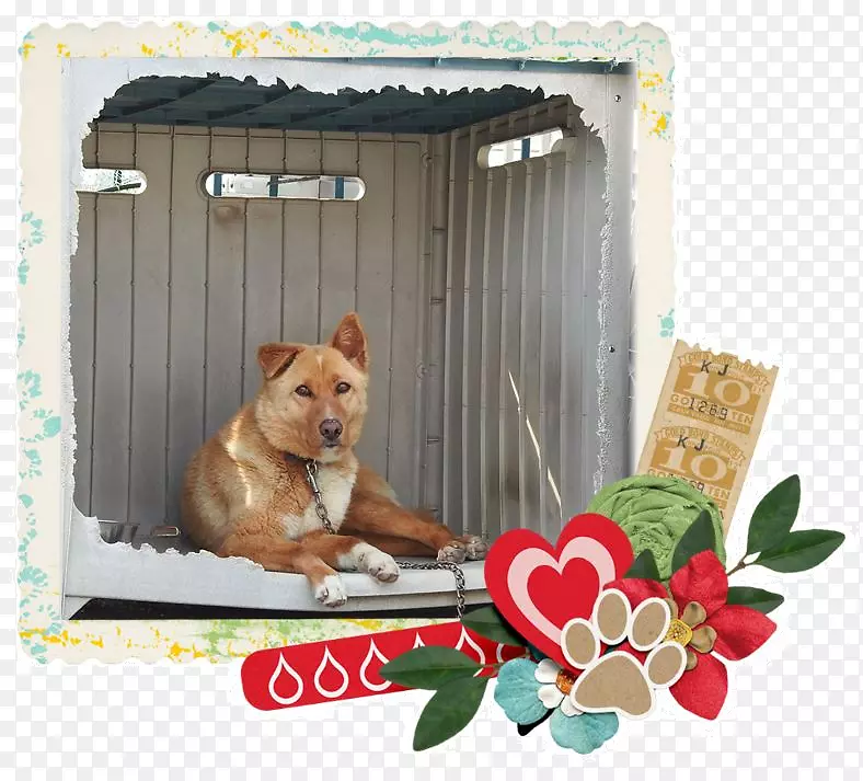 Ȯ�ֱ������-��-������