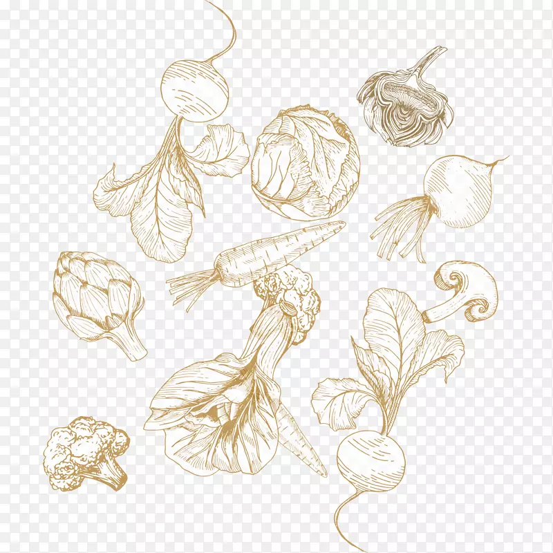 �߲�ʳƷˮ���߲˹���Ʒ-������