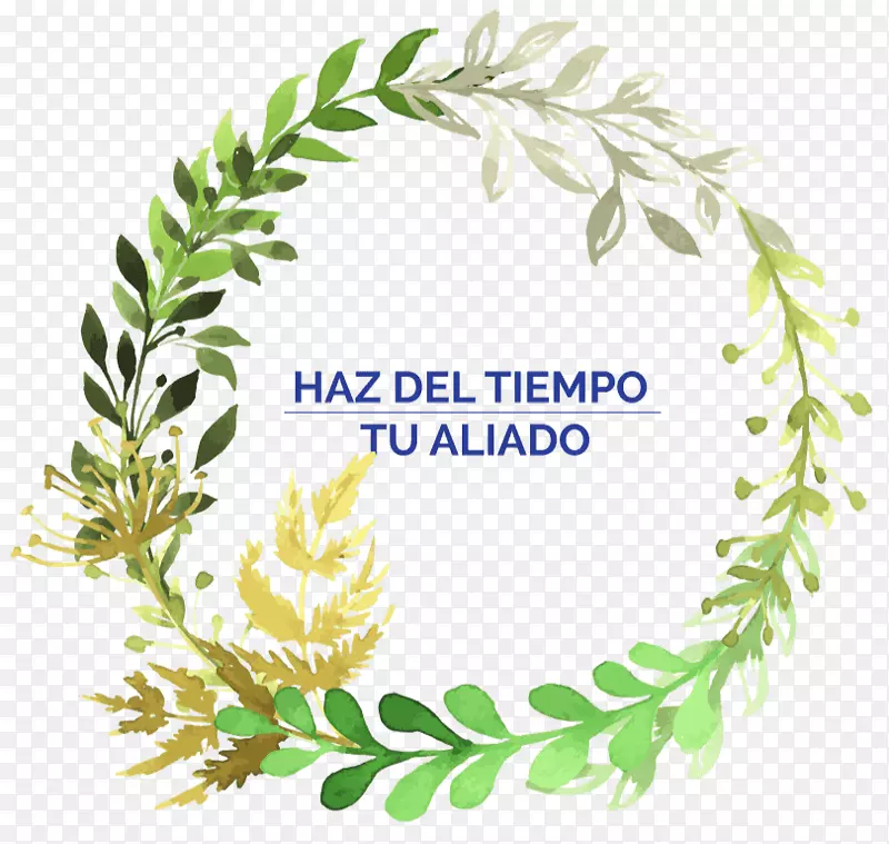 ˮ�ʻ�������Ӱ.��-������