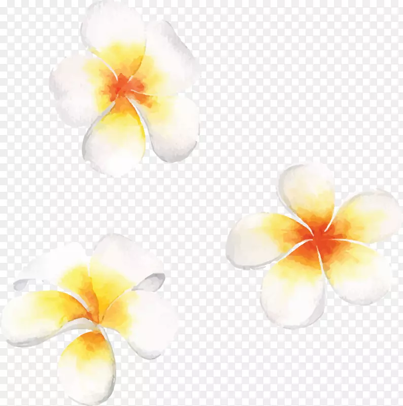 ˮ�ʻ�����ˮ�ʻ��ֻ漦����-������