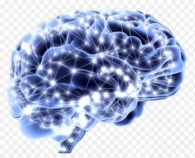 �����񾭿�ѧ��Ԫ-������