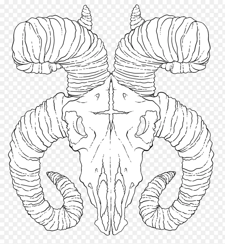 �滭���������ԳƼ�������-������