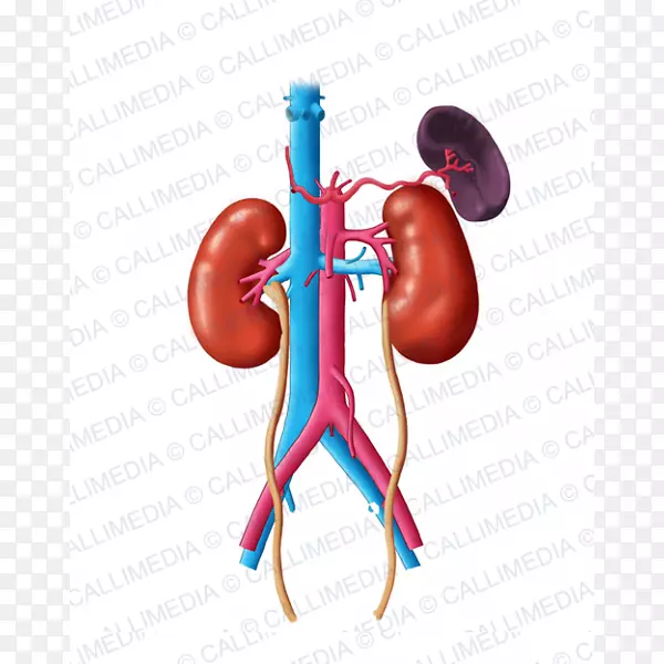 ��ָ�л����ڷ���ѧ����ѧ�����ڷ���ѧ-������