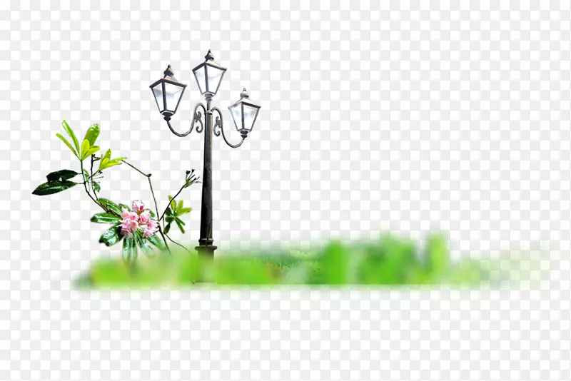 ����WordPress.com-WordPress-������