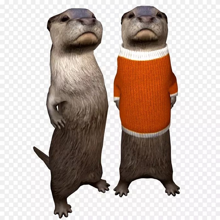 ��������ݶ������-������