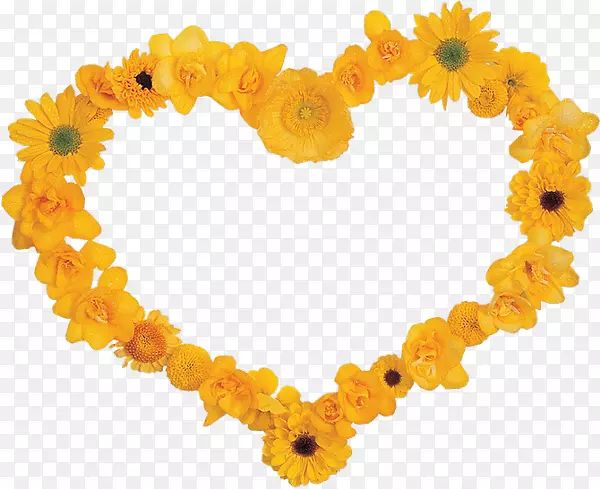 �鱦����-������