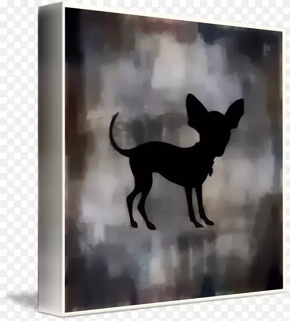 Ȯ��������ҹ�����ˮ����-������