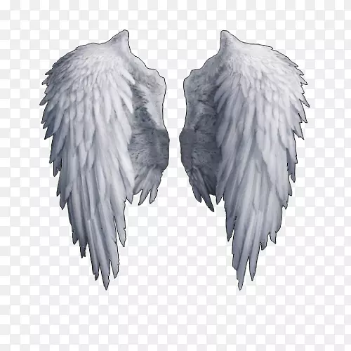 ������-������