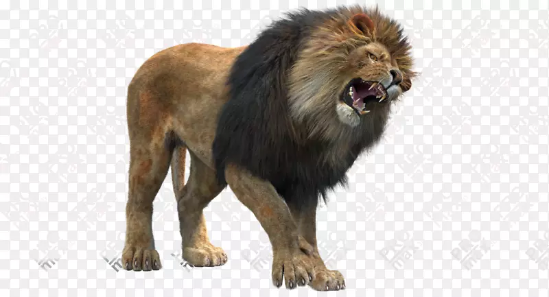 ��è½������ëƤҰ������-è-������