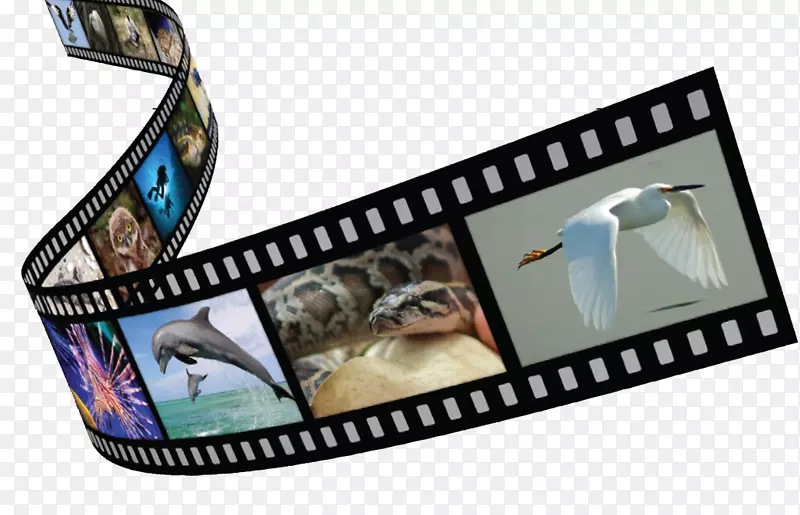 ��Ӱ��Ƭ��ӰƷ�����-������