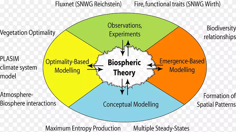��֯��̬ϵͳ���������θ���ϵͳ-������