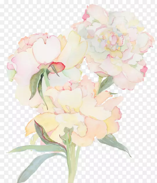 ֽˮ�ʻ�����-������