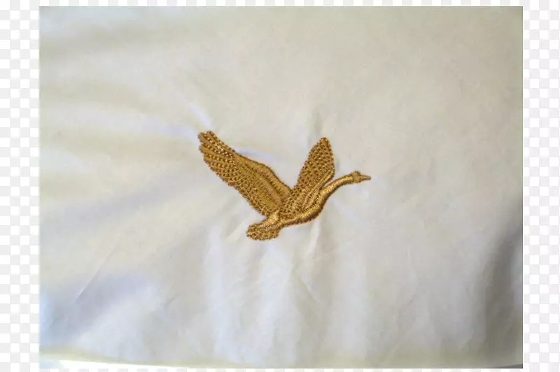 ���ޱ���ë���׽���-������