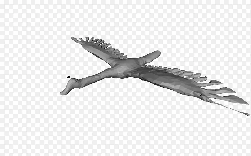 ����-�ȼ�-������