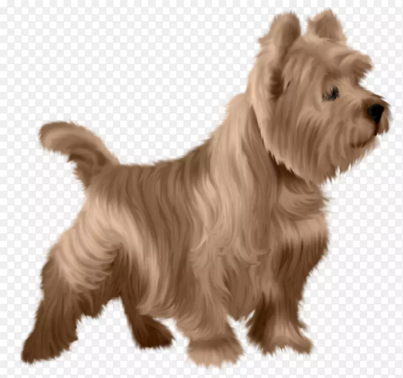 ŵά����Ȯ����ŵ������Ȯ�Ĵ�������Ȯ������Ȯ-������