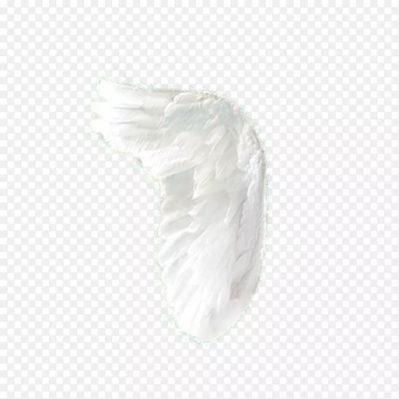 ��ɫ��ɫͼ����ë���-������