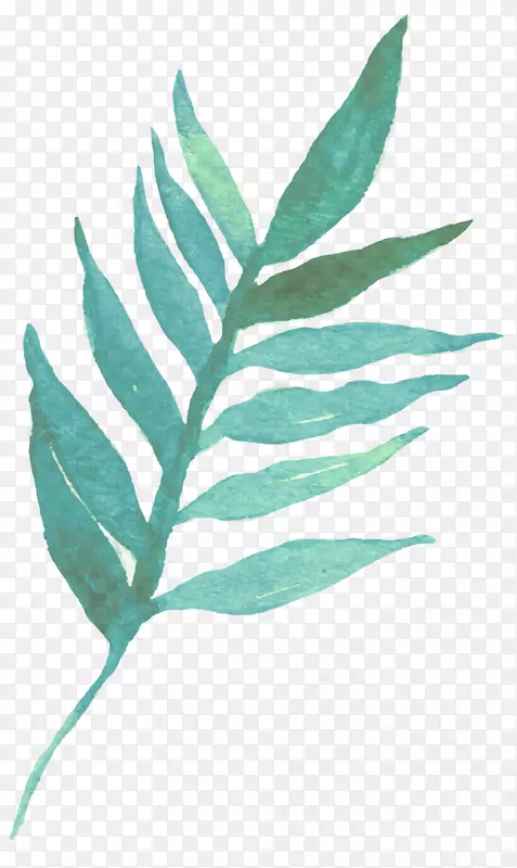 Ҷˮ�ʻ��Ű�.Ҷ-������