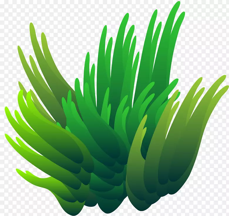 ̨ʽ��ֽ�ݵ���ֲ�ﾥ��ֽ����-������