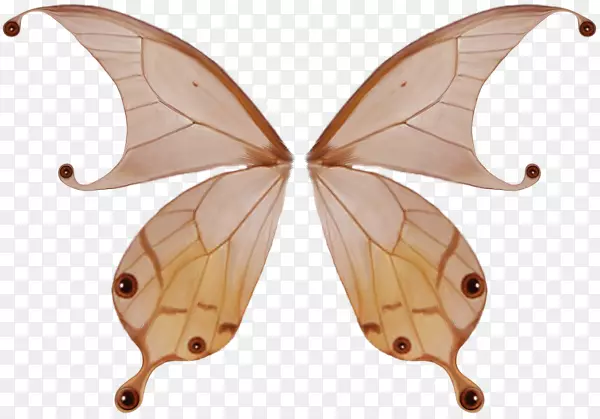 ������-װ���Ժ������-������