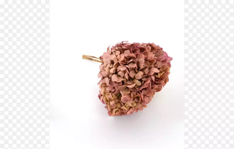 ����ʳƷ��Ʒ-������