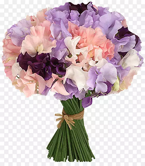 �����л������������-����-������