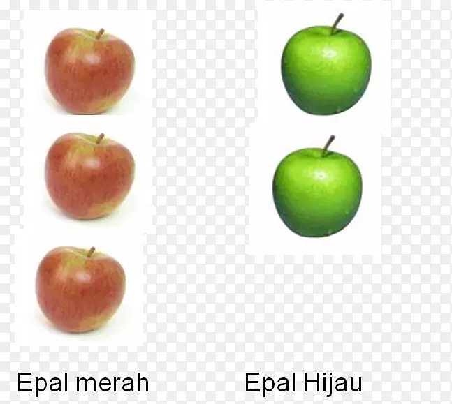 ʷ��˹������ʳ������ʳƷ-������