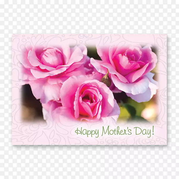 ��԰õ�廨android���ӱ�ֽ-��-������