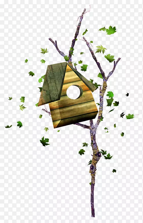 �񳲺ж���������-����֦������-������