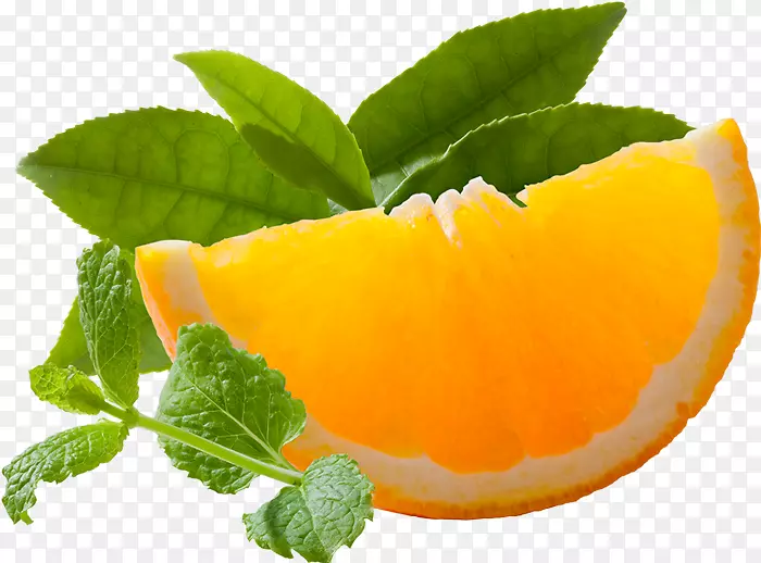 ��ʳʳƷ��ȻʳƷ����ʳƷ������-������