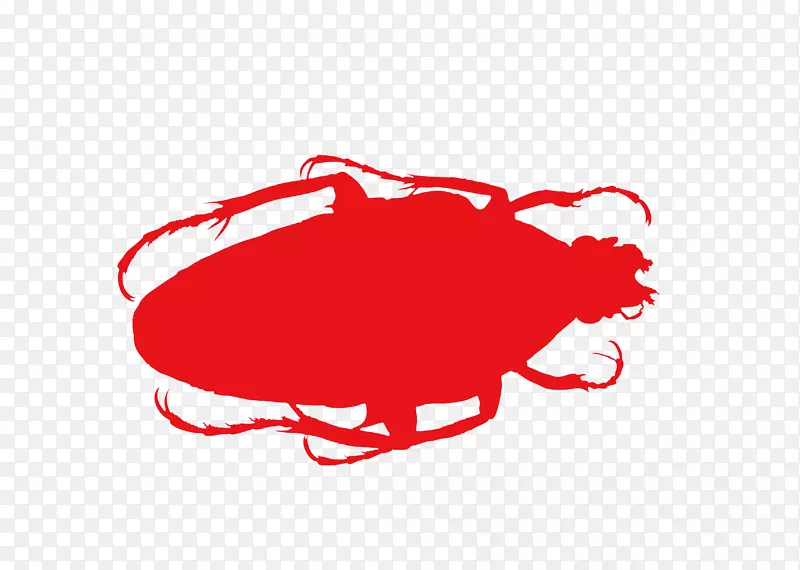 �̱�ͼ��-����-������