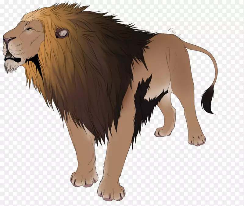 ��è½������Ұ���������è-������