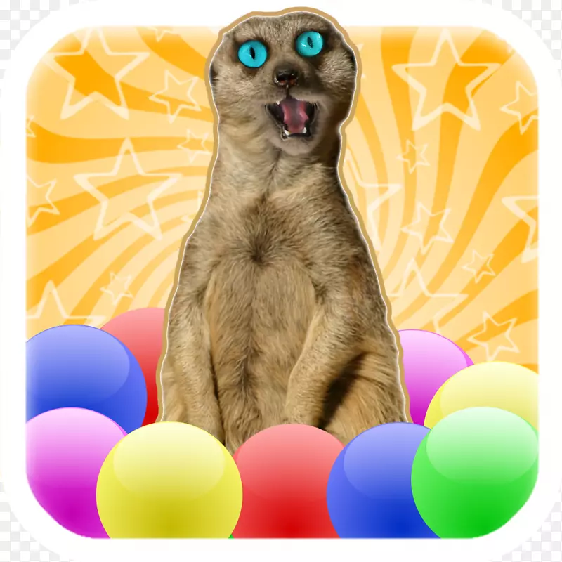 ����-������