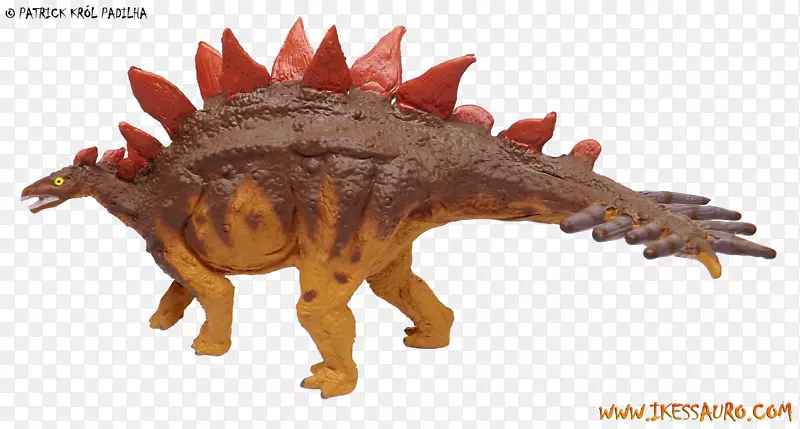 �������������ѧ��-������