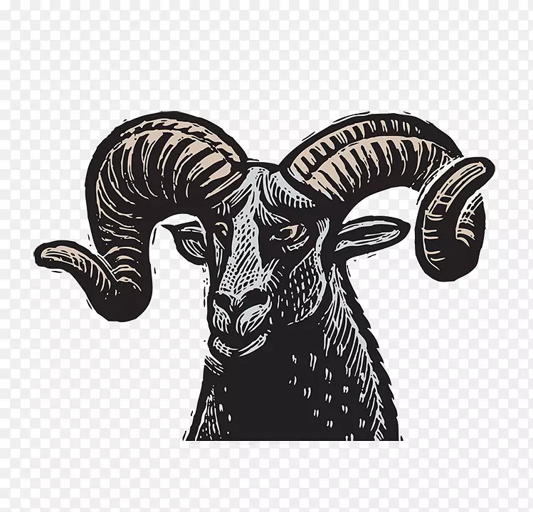 ţ��ɫ����-�ȶ�����-������